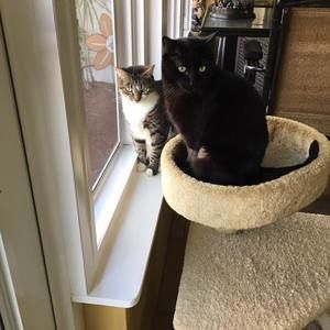 Meet your Posher, Karen